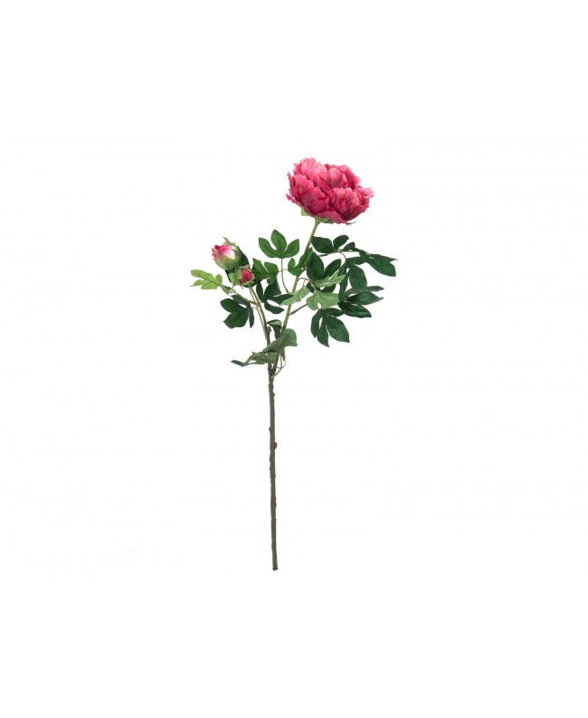 Europalms Peony Branch premium, artificial plant, magenta, 100cm Flowers & Plants