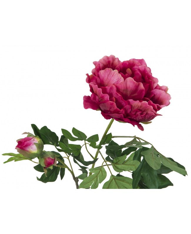 Europalms Peony Branch premium, artificial plant, magenta, 100cm Fiori & piante