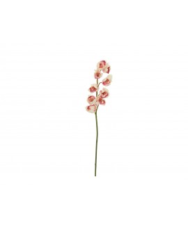 Europalms Cymbidium branch, artificial, creme-pink, 90cm Flowers & Plants