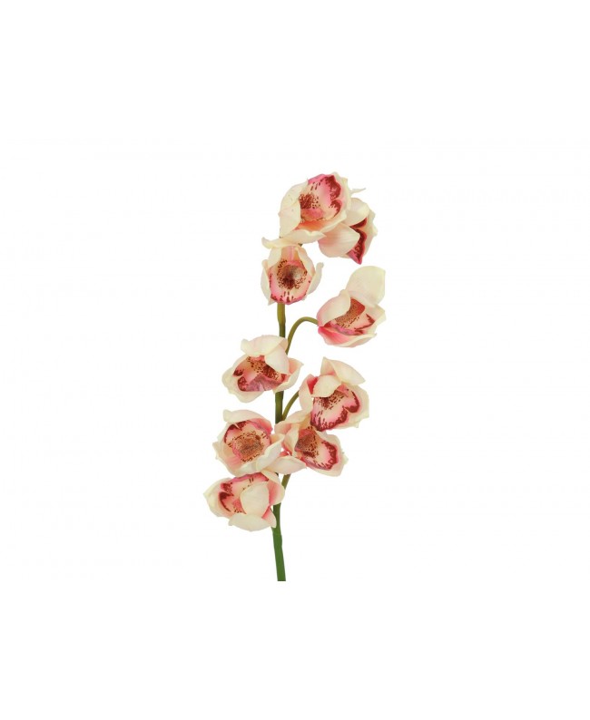 Europalms Cymbidiumzweig, künstlich, creme-pink, 90cm Blumen & Pflanzen