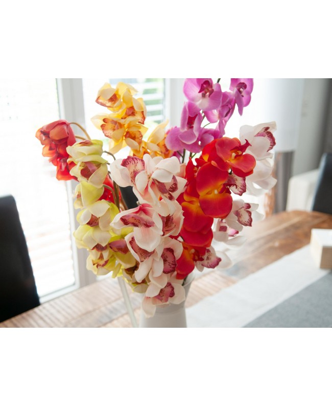 Europalms Cymbidium branch, artificial, white-pink, 90cm Flowers & Plants