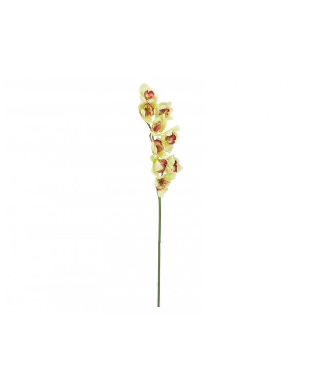 Europalms Ramo di Cymbidium, artificiale, verde, 90 cm Fiori & piante