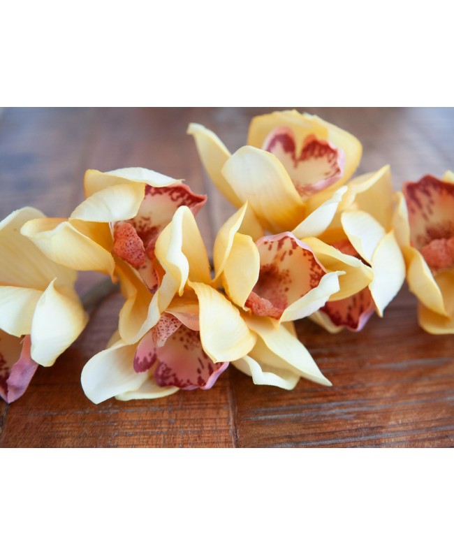 Europalms Cymbidium branch, artificial, yellow, 90cm Fiori & piante