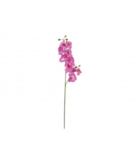 Europalms Orchid branch, artificial, purple, 100cm Flowers & Plants