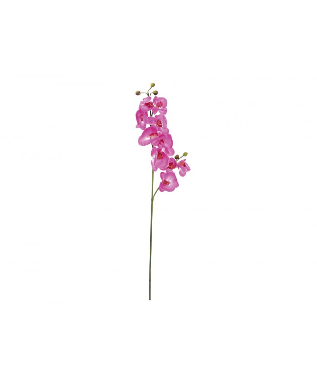 Europalms Orchid branch, artificial, purple, 100cm Fiori & piante
