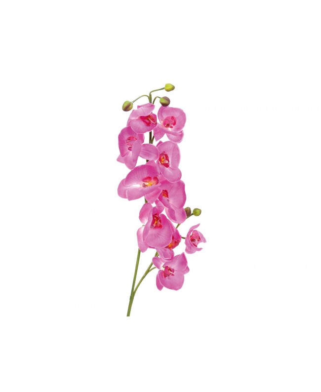 Europalms Orchid branch, artificial, purple, 100cm Fiori & piante