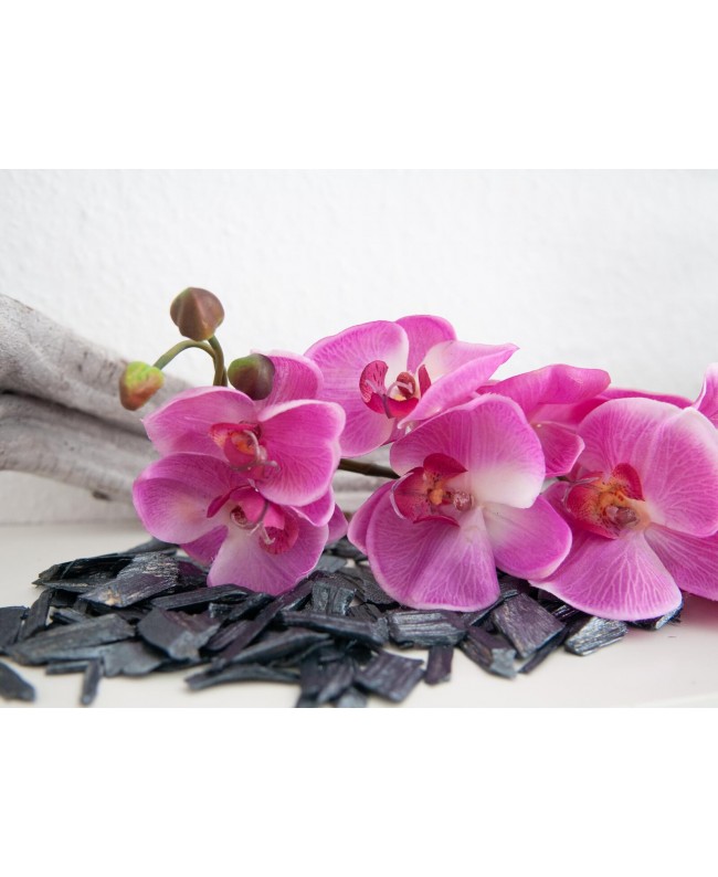 Europalms Orchid branch, artificial, purple, 100cm Fiori & piante