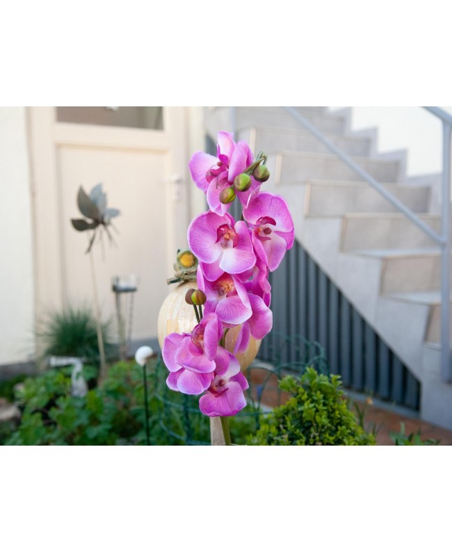Europalms Orchid branch, artificial, purple, 100cm Flowers & Plants