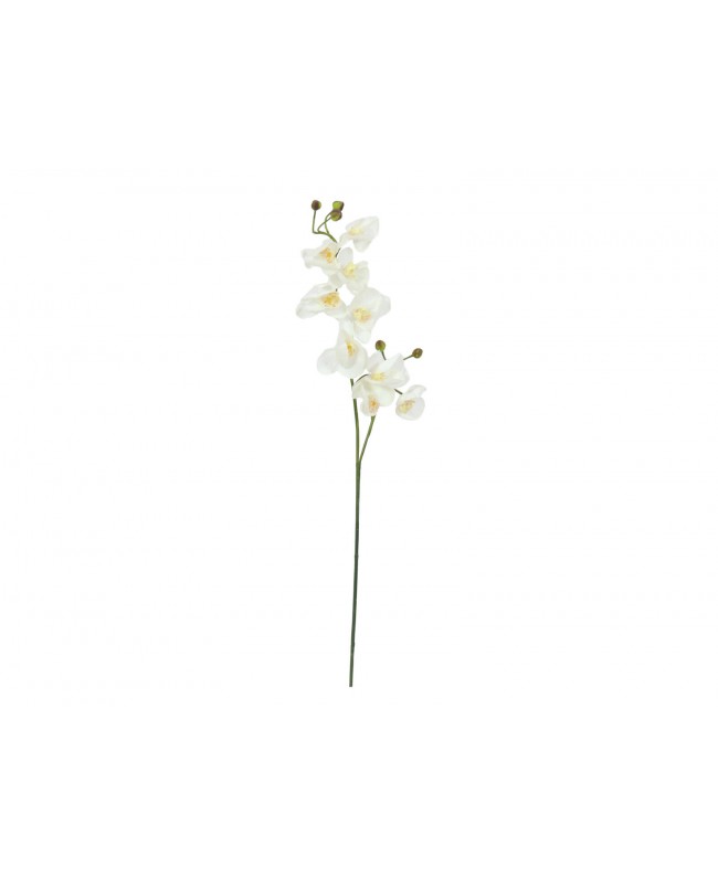 Europalms Orchideenzweig, künstlich, creme-weiß, 100cm Blumen & Pflanzen
