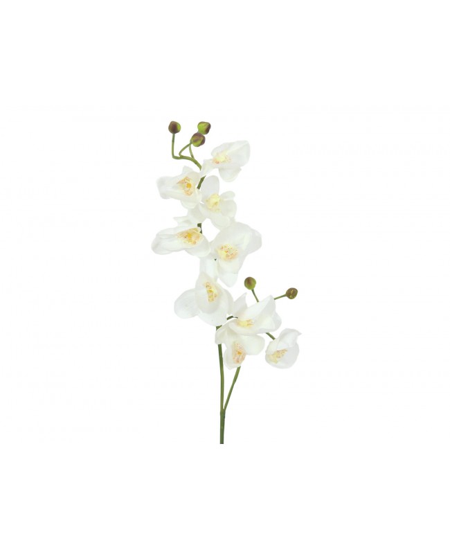 Europalms Ramo di orchidea artificiale, bianco crema, 100 cm Fiori & piante