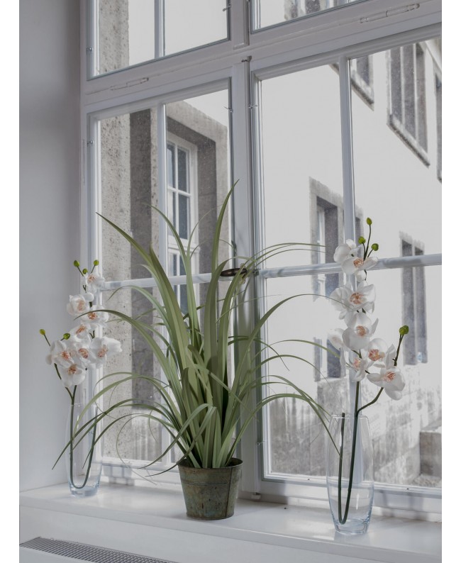 Europalms Ramo di orchidea artificiale, bianco crema, 100 cm Fiori & piante