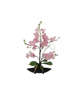 Europalms Orchid arrangement (EVA), artificial, purple Flowers & Plants