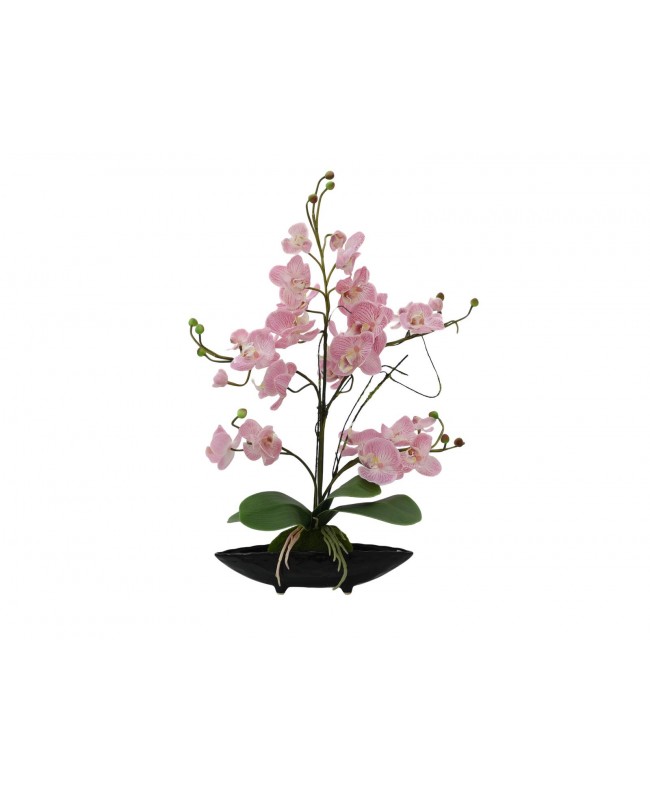 Europalms Orchid arrangement (EVA), artificial, purple Fiori & piante