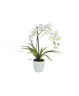 Europalms Orchid Arrangement 1, artificial Flowers & Plants