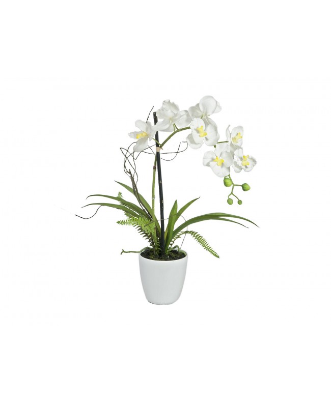 Europalms Orchid Arrangement 1, artificial Flowers & Plants