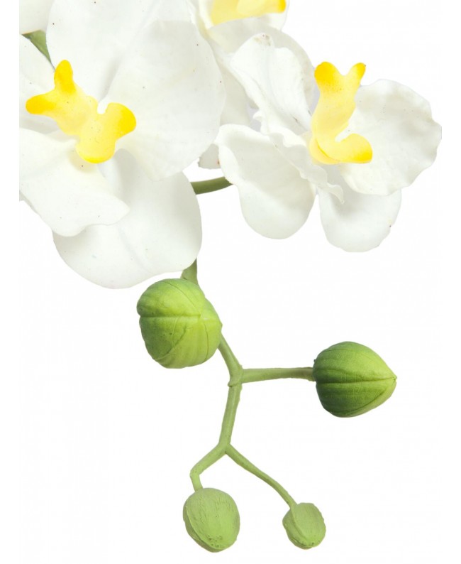 Europalms Orchideen-Arrangement 1, künstlich Blumen & Pflanzen
