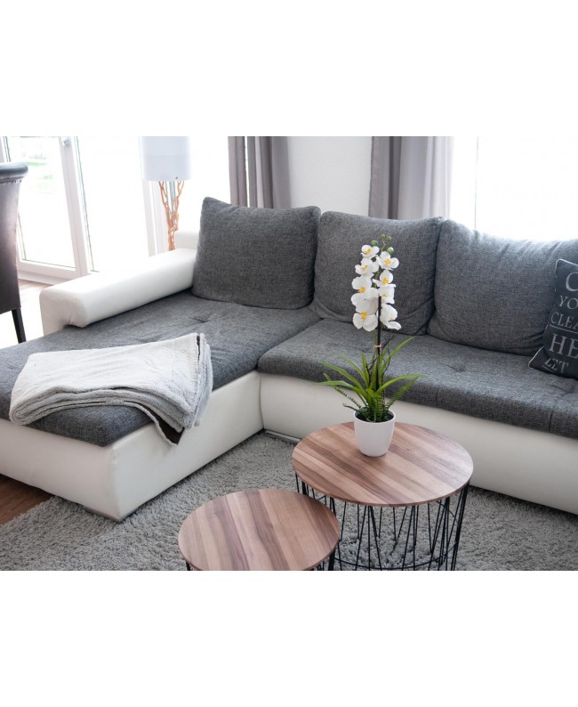 Europalms Orchideen-Arrangement 1, künstlich Blumen & Pflanzen