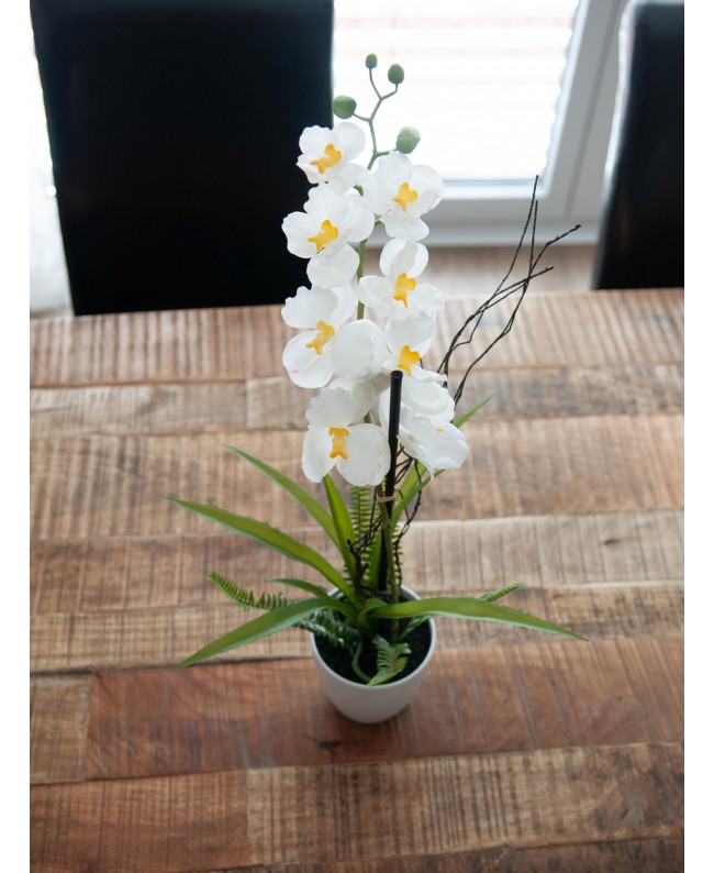 Europalms Orchid Arrangement 1, artificial Flowers & Plants