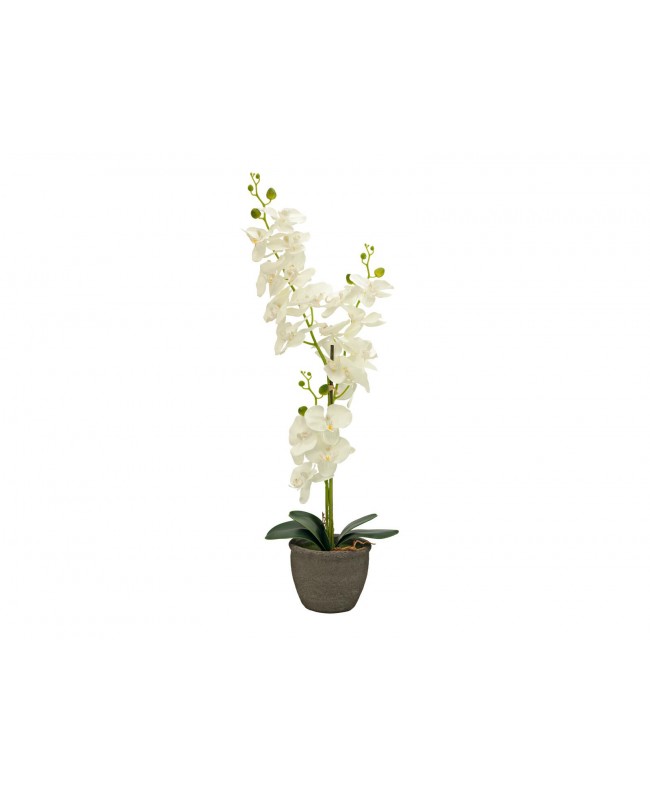 Europalms Orchidee, Kunstpflanze, cremefarben, 80cm Blumen & Pflanzen