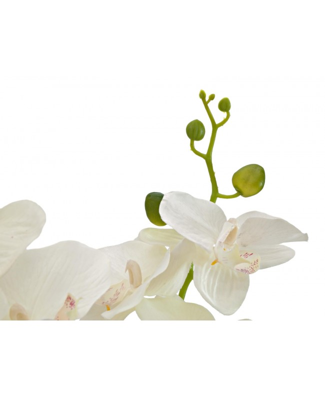 Europalms Orchid, artificial plant, cream, 80cm Fiori & piante