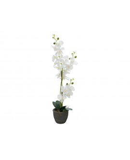 Europalms Orchidee, Kunstpflanze, weiß, 80cm Blumen & Pflanzen