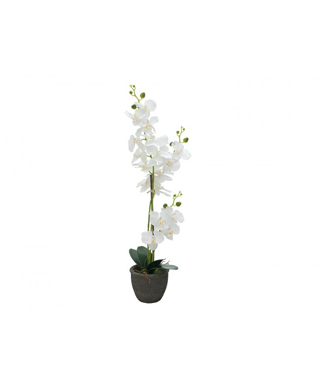 Europalms Orchid, artificial plant, white, 80cm Flowers & Plants
