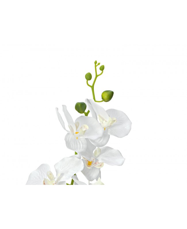 Europalms Orchidee, Kunstpflanze, weiß, 80cm Blumen & Pflanzen