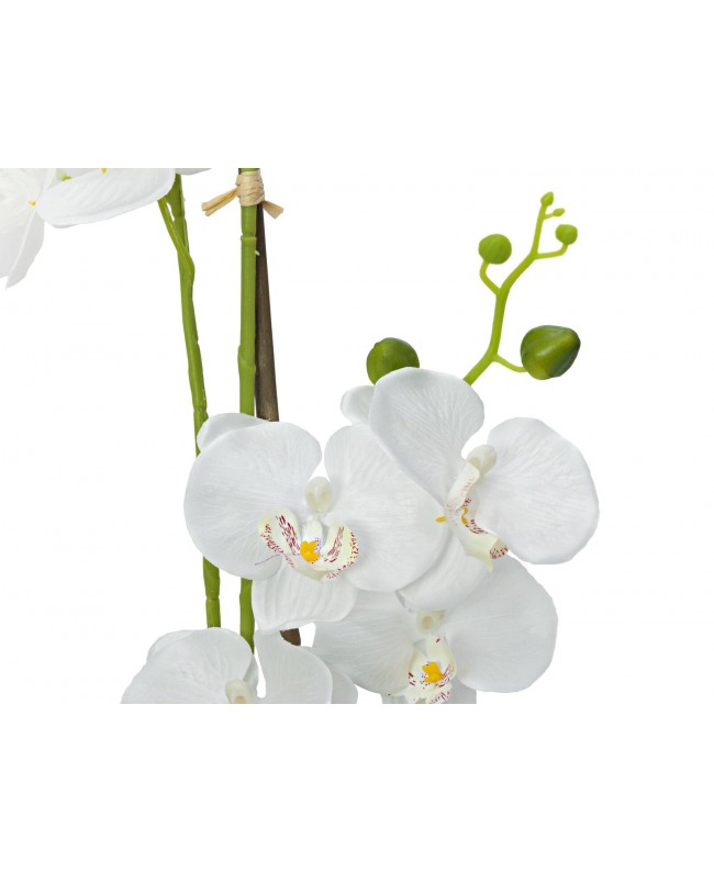 Europalms Orchidea, pianta artificiale, bianca, 80 cm Fiori & piante
