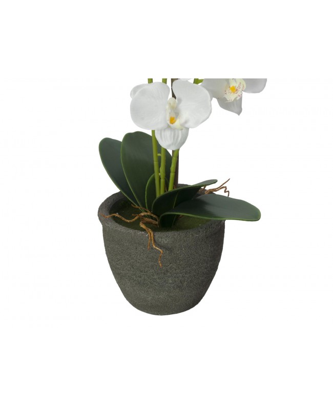 Europalms Orchidee, Kunstpflanze, weiß, 80cm Blumen & Pflanzen