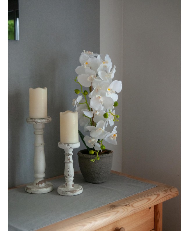 Europalms Orchidee, Kunstpflanze, weiß, 80cm Blumen & Pflanzen