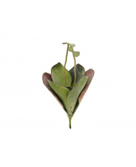 Europalms Seerose (EVA), Kunstpflanze,geschlossen, grün, 45cm Blumen & Pflanzen