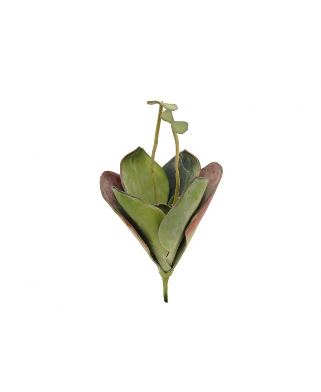 Europalms Seerose (EVA), Kunstpflanze,geschlossen, grün, 45cm Blumen & Pflanzen