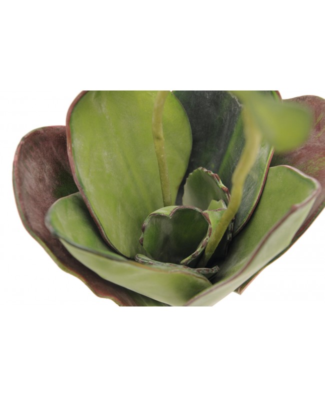 Europalms Seerose (EVA), Kunstpflanze,geschlossen, grün, 45cm Blumen & Pflanzen