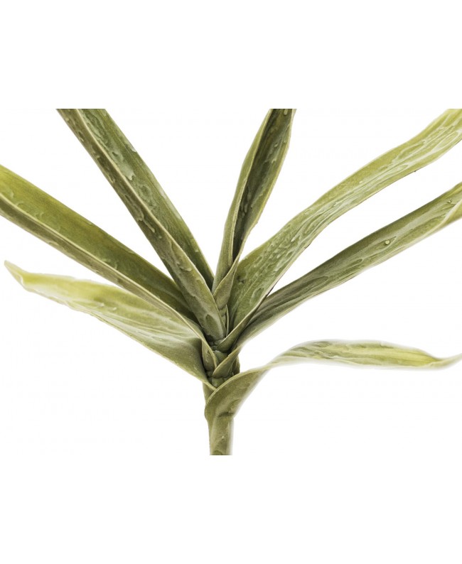 Europalms Yucca Branch (EVA), artificial, green Flowers & Plants