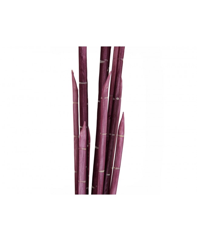 Europalms Magic Onion Stalks, artificial, rose, 134cm Flowers & Plants