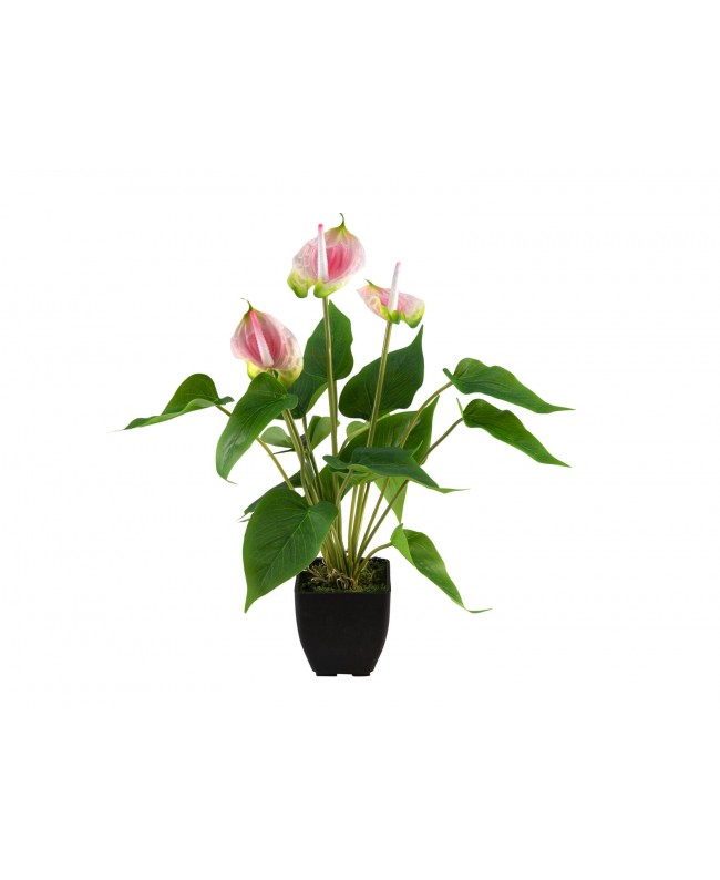 Europalms Anthurie, Kunstpflanze, weiß pink Blumen & Pflanzen