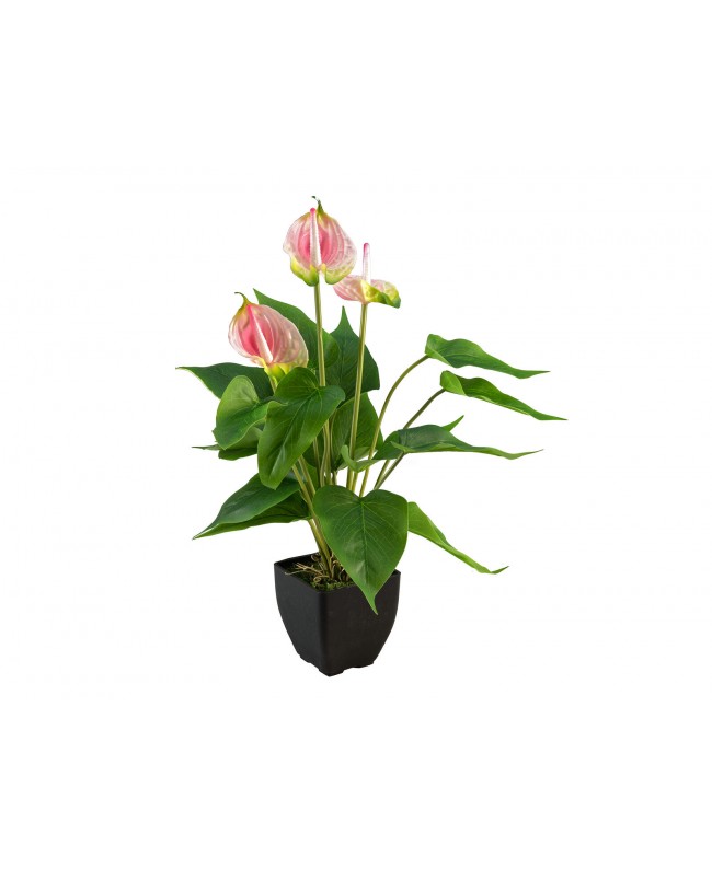 Europalms Anthurie, Kunstpflanze, weiß pink Blumen & Pflanzen