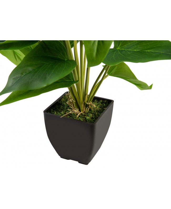 Europalms Anthurium, artificial plant, white and pink Flowers & Plants