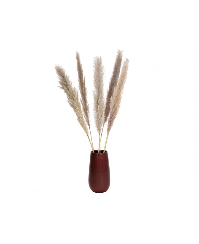 Europalms Pampas Grass Branch, dried, natural, 137cm Fiori & piante