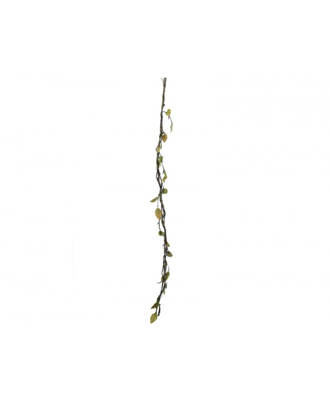 Europalms Heather twine, with LEDs, white, 180cm Flowers & Plants