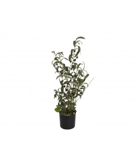 Europalms Olivenbäumchen, Kunstpflanze, 68 cm Blumen & Pflanzen