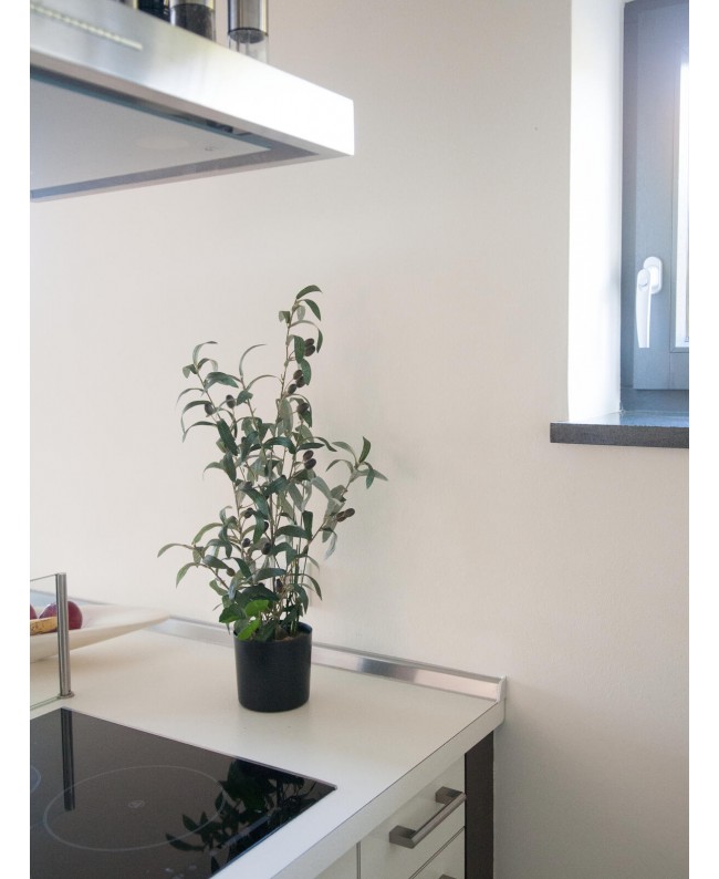 Europalms Olive tree, artificial plant, 68 cm Flowers & Plants