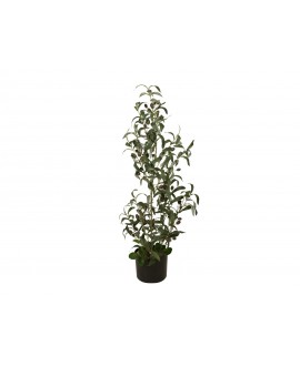 Europalms Olive tree, artificial plant, 90 cm Flowers & Plants