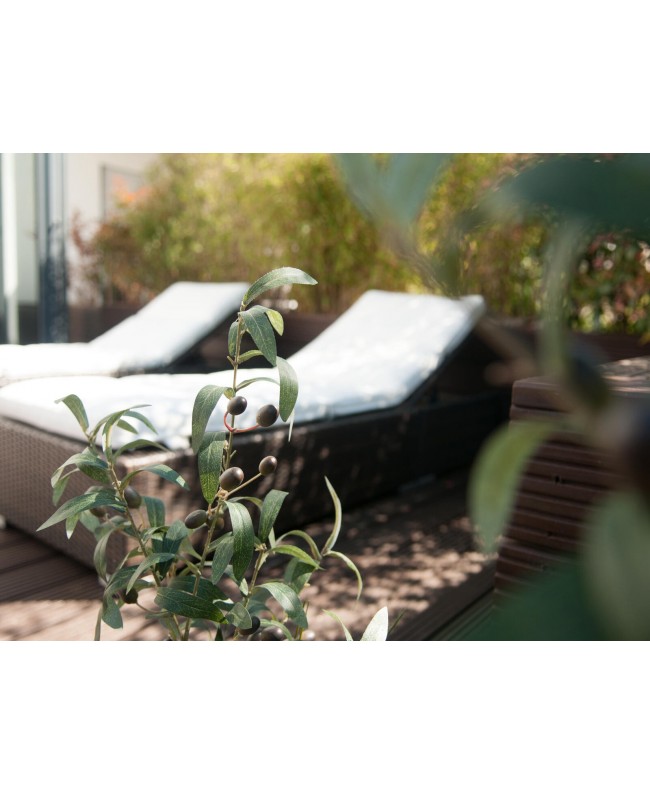 Europalms Olive tree, artificial plant, 104 cm Fiori & piante