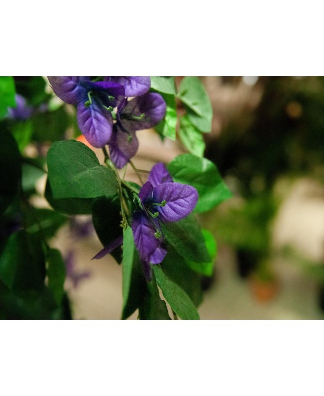 Europalms Bougainvillea, lavendel, Kunstpflanze, 150cm Blumen & Pflanzen