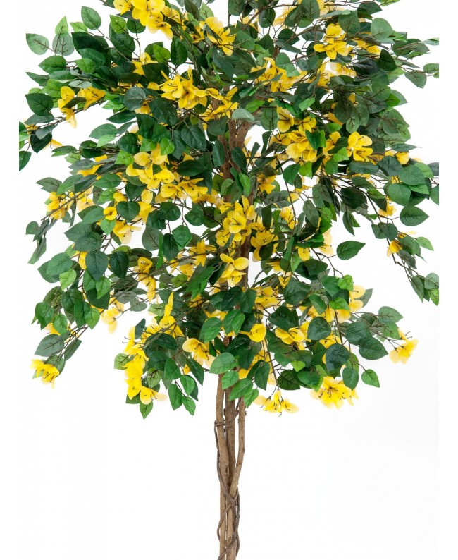 Europalms Bougainvillea, artificial plant, yellow, 180cm Fiori & piante