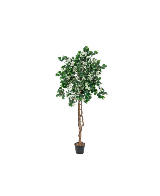 Europalms Bougainvillea, artificial plant, white, 150cm Flowers & Plants
