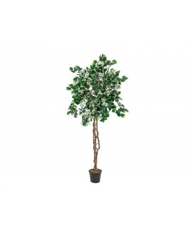 Europalms Bougainvillea, pianta artificiale, bianca, 180 cm Fiori & piante