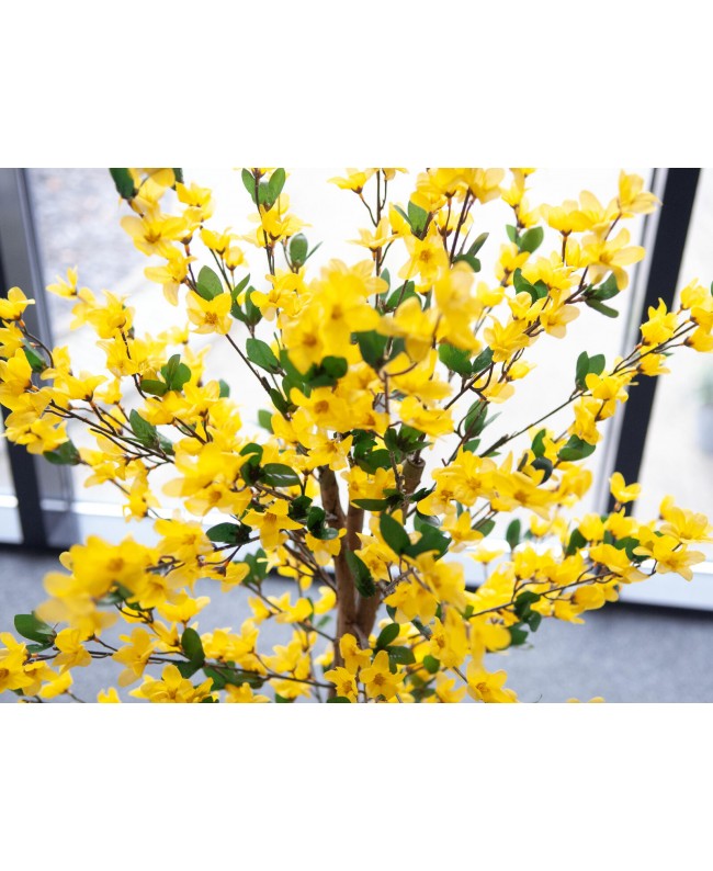 Europalms Forsythia tree with 3 trunks, artificial plant, yellow, 150cm Flowers & Plants
