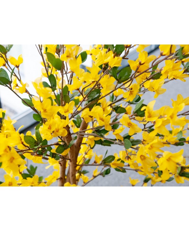 Europalms Forsythia tree with 3 trunks, artificial plant, yellow, 150cm Fiori & piante